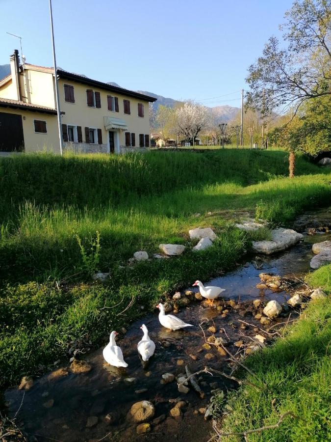 Agriturismo Da Andreina 보르소 델 그라파 외부 사진