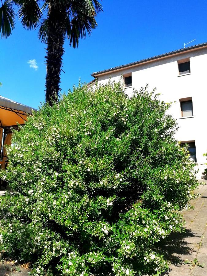 Agriturismo Da Andreina 보르소 델 그라파 외부 사진