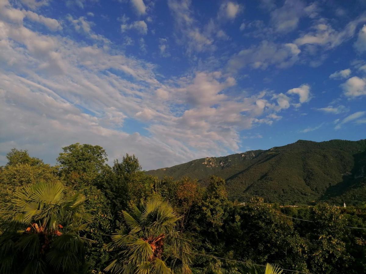 Agriturismo Da Andreina 보르소 델 그라파 외부 사진